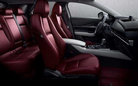 Mazda CX-30 100th Anniversary interior