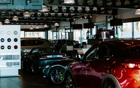 Showroom Autobedrijf Knoop