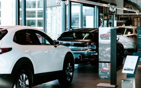 Showroom Autobedrijf Knoop